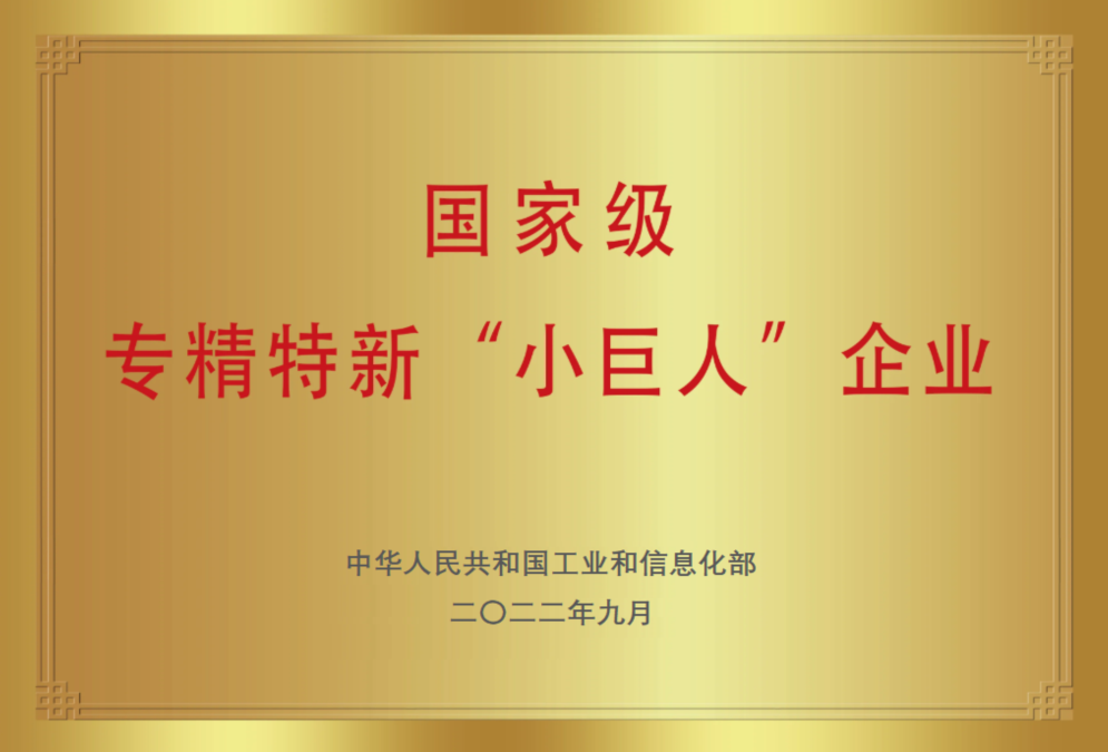 國家級專精特新小巨人企業(yè)